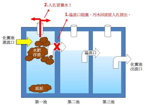 化糞池 位置